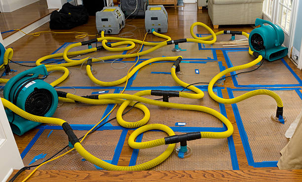Professional Storm Water Damage Restoration technician working in Mars, PA